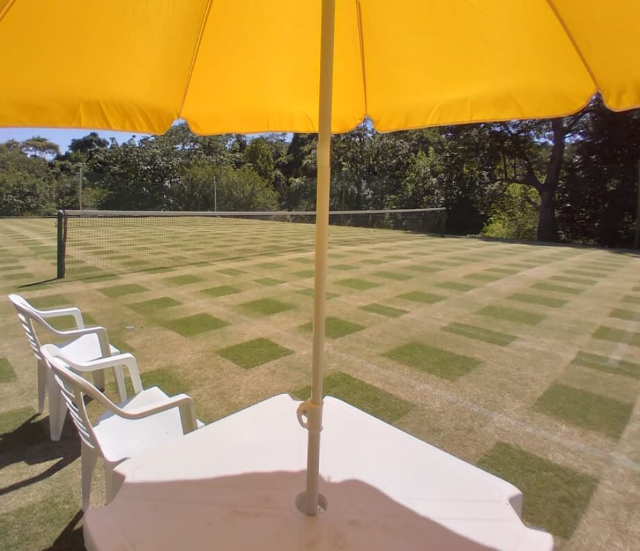 Assessoria de quadras na grama