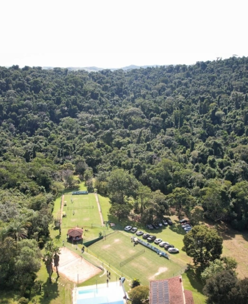 Sonho ou realidade? Como saber se você está pronto para ter uma quadra de tênis de grama