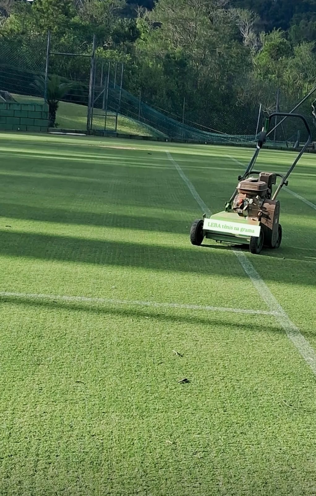 LEBA tênis na grama – 21 anos de excelência de nível internacional