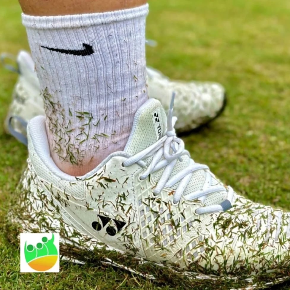 Começou chover durante o jogo na quadra de grama : o que fazer ?